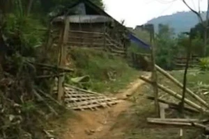 Voi rừng phá nhà cửa, hoa màu của người dân