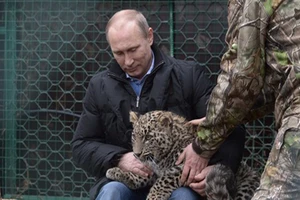 Tổng thống Nga Putin vuốt ve báo