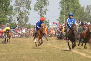 Tưng bừng ngày hội đua ngựa thồ