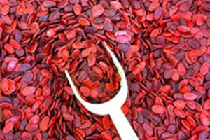 Một trẻ khó thở do hóc hạt dưa