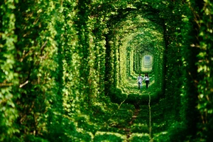 “Đường hầm'” tình yêu đẹp như cổ tích ở Ukraine 