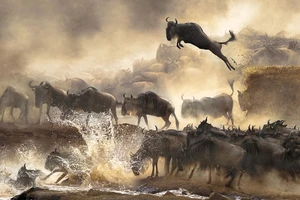 Những khung hình ấn tượng nhất thế giới