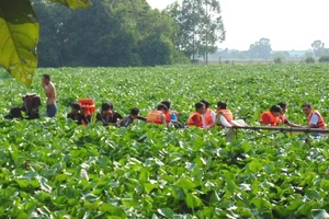  Đã tìm thấy thi thể cuối cùng trong vụ đùa giỡn làm lật ghe