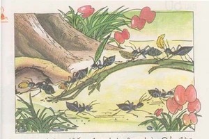 Giật mình với hình minh họa trong sách giáo khoa Tiếng Việt 1 