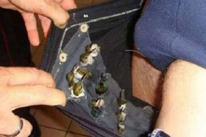 Buôn lậu 66 con chim trong quần 