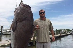 Bắt được cá mú khổng lồ 135 kg