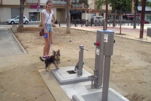 Toilet công cộng dành cho chó đầu tiên trên thế giới