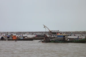 Vụ xông vào trụ sở công an cướp nghêu: Không xử lý hình sự