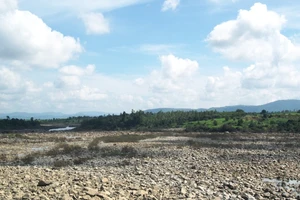 Phú Yên: Công bố thiên tai hạn hán trên toàn tỉnh