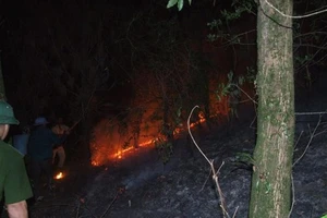 Đề nghị truy tặng huân chương cho kiểm lâm hy sinh khi cứu rừng