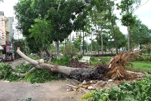 Chùm ảnh nhà sập, đường sá ngổn ngang sau bão số 4