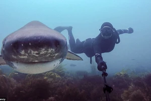 Hai cô gái liều mạng chụp ảnh “tự sướng” cùng cá mập