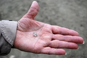 Đi dạo công viên bất ngờ tìm thấy kim cương 'khủng'