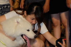 Giới trẻ Sài Gòn 'khoe' chó ở phố đi bộ Nguyễn Huệ