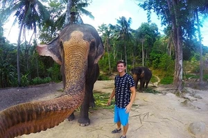 Voi biết chụp hình "tự sướng" tại Thái Lan
