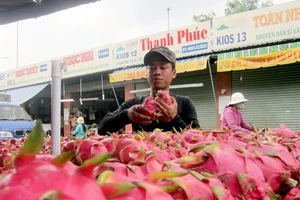 Nông dân 'ngậm trái đắng' vì nông sản rớt giá thê thảm