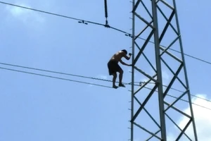 Thanh niên nghi 'ngáo đá' trèo lên cột điện cao hàng chục mét