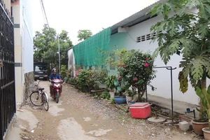 Nghi án chồng đâm vợ rồi tự sát