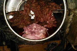 'Biến' thịt heo, trâu trôi nổi thành món bò né thơm ngon