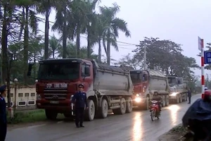 Clip Thanh tra giao thông xử lý hàng loạt xe tải chạy vào giờ cấm