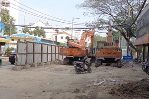 TP.HCM: Nhiều rào chắn được… 'sống' qua tết