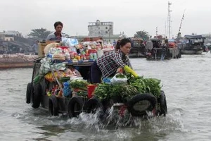 Đọc gì trên báo Pháp Luật TP.HCM, số Chủ nhật 17-7?