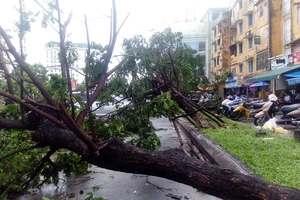 Một phụ nữ mất tích do ảnh hưởng áp thấp nhiệt đới