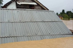 Clip: Huyện Hương Khê, Hà Tĩnh ngập chìm trong lũ dữ