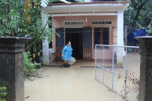 Dân nghèo vùng lũ Quảng Ngãi cần hỗ trợ gạo