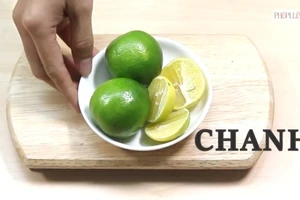 3 cách đuổi kiến bằng chanh, giấm và dầu gió