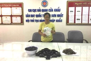 Ngà voi,vảy tê tê được giấu tinh vi để qua mặt hải quan