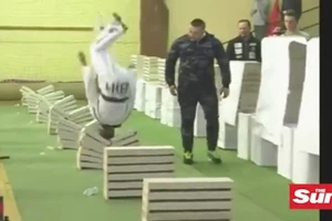 Dùng đầu đập vỡ 111 khối bê tông trong vòng 35 giây