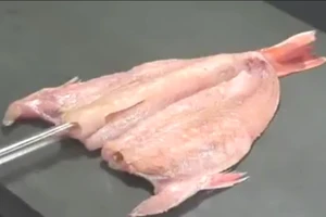 Chế biến món ăn từ cá, tinh tế đến không tưởng