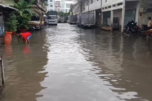 Nhiều tuyến đường cửa ngõ phía Tây TP.HCM bị ngập