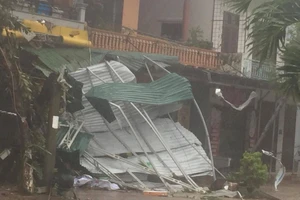 Quảng Bình: Nhiều nhà dân bị tốc mái, cây cối gãy đổ