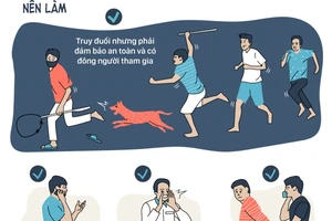 Gặp kẻ trộm chó, bạn nên làm gì để không vướng lao lý? 