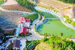 Thanh tra Chính phủ nói về việc kỷ luật ông Phạm Sỹ Quý