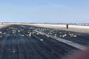 Máy bay Nga bung cửa, hơn 3 tấn vàng rơi xuống đất