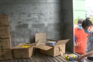 Kiểm tra các sản phẩm thuốc bảo vệ thực vật