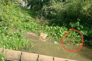 Tìm thấy thi thể bé trai 4 tuổi sau hai ngày mất tích ở Long An