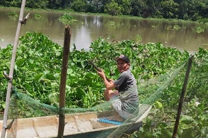 Vợ rơi xuống sông mất tích khi đi cùng chồng trên sông Vàm Cỏ