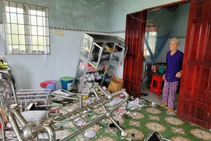 Bắt tạm giam 2 bị can nhóm đập phá tài sản nhà cụ bà 78 tuổi ở Long An để đòi nợ