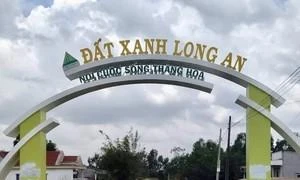 2 vợ chồng liên quan Công ty Đất Xanh Long An bị bắt