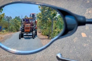 Những tác phẩm quê hương qua gương chiếu hậu của chàng bác sĩ đa khoa