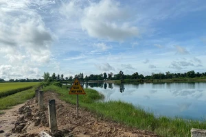 Long An khẩn trương thu hồi và đóng cửa các hầm đất đã khai thác