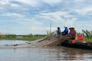 Người dân đầu nguồn Long An mong ngóng con nước về