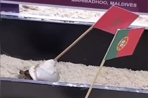 Xem Thánh Cua dự đoán trận thi đấu Marocco và Bồ Đào Nha