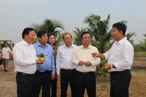 Bộ trưởng Lê Minh Hoan khảo sát thực tế mô hình tiêu biểu nông thôn mới tại Long An