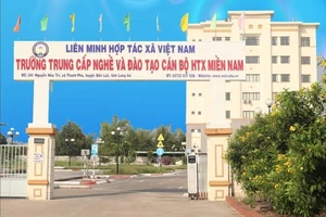 Long An : Thu hồi giấy phép đào tạo lái xe ô tô Hợp tác xã Miền Nam