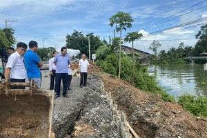 Long An đã xảy ra 9 điểm sạt lở nghiêm trọng từ đầu năm 2023 đến nay